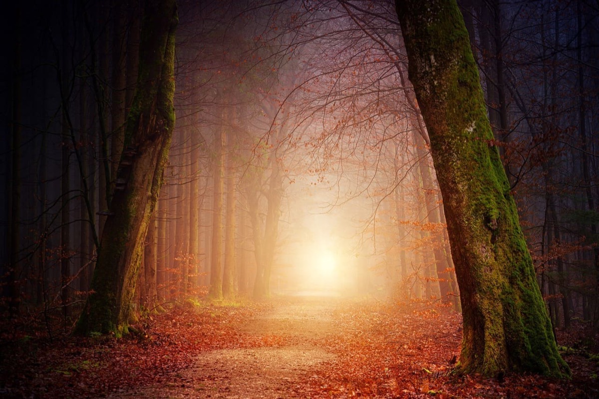 8 Types of Dreams and how they can affect your Spiritual Self