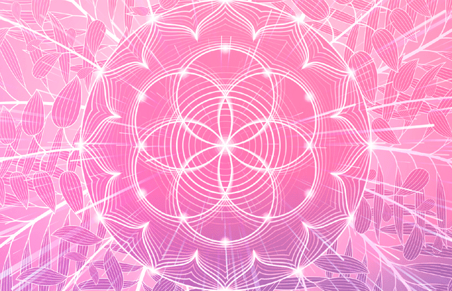 Spiritual Health: Nourishing Your Heart, Mind, Body & Soul