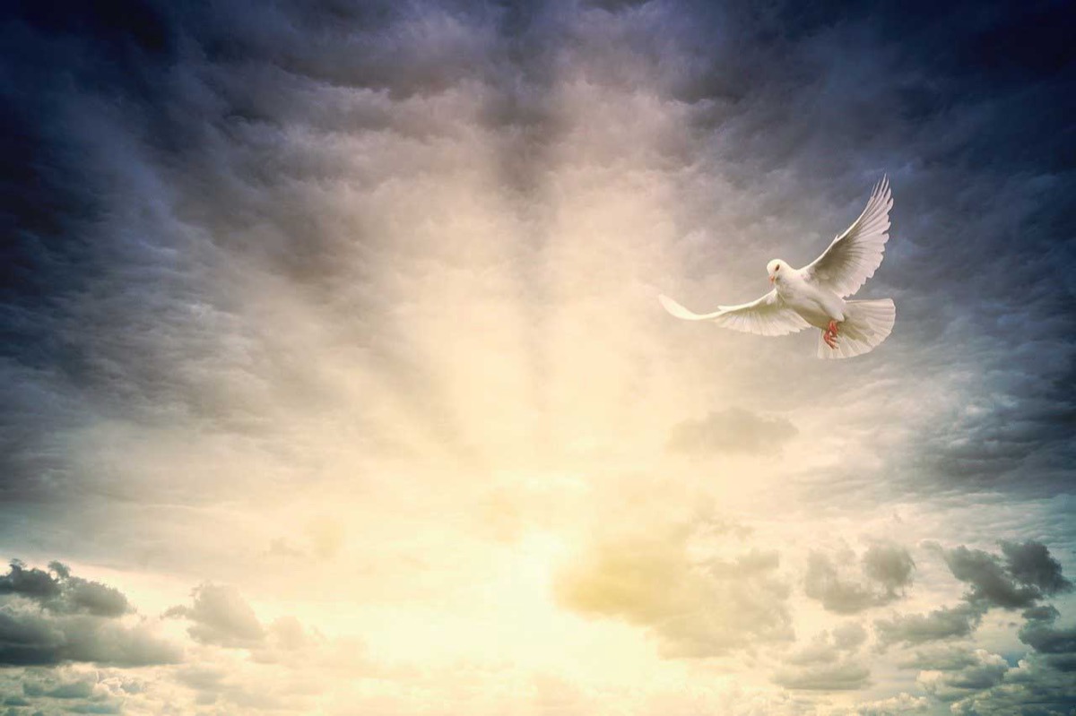 How To Find Inner Peace In 10 Easy Steps