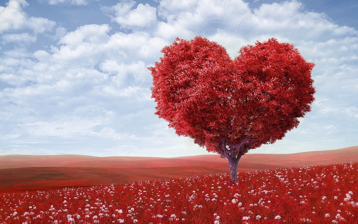 Law Of Attraction Guide: 10 Practical Tips to Attract Love this 2019