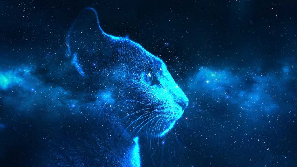 interpreting signs from the universe